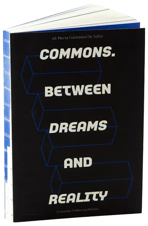 Commons: Between Dreams and Reality — tlač VIENALA